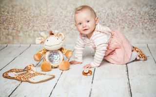ScandicToys-Diinglisar-Serie.jpg