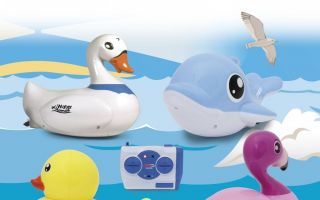 Water-Animals-.jpg