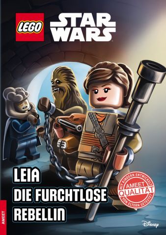 Ameet-Star-Wars-Leia.jpg