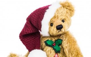 Clemens-Spieltiere-Teddy.jpg