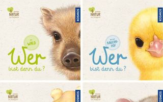 Wer-bist-du-denn.jpg
