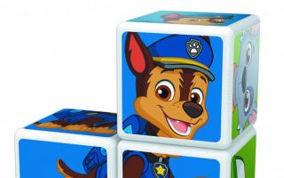MagiCube-Paw-Patrol.jpg