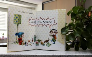 Oetinger-Spinnenalarm.jpg