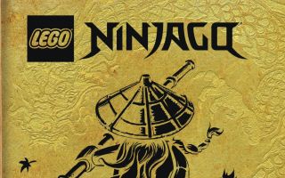 Ameet-Lego-Ninjago-Buch.jpeg
