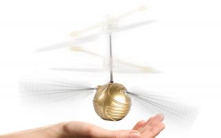 Goldener-Schnatz-Fliegender.jpg