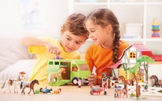 Playmobil-Reiterhof.jpg