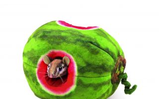 Wassermelone-Handpuppen.jpg