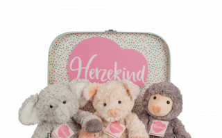 Kuschelstars-im-Koffer.png