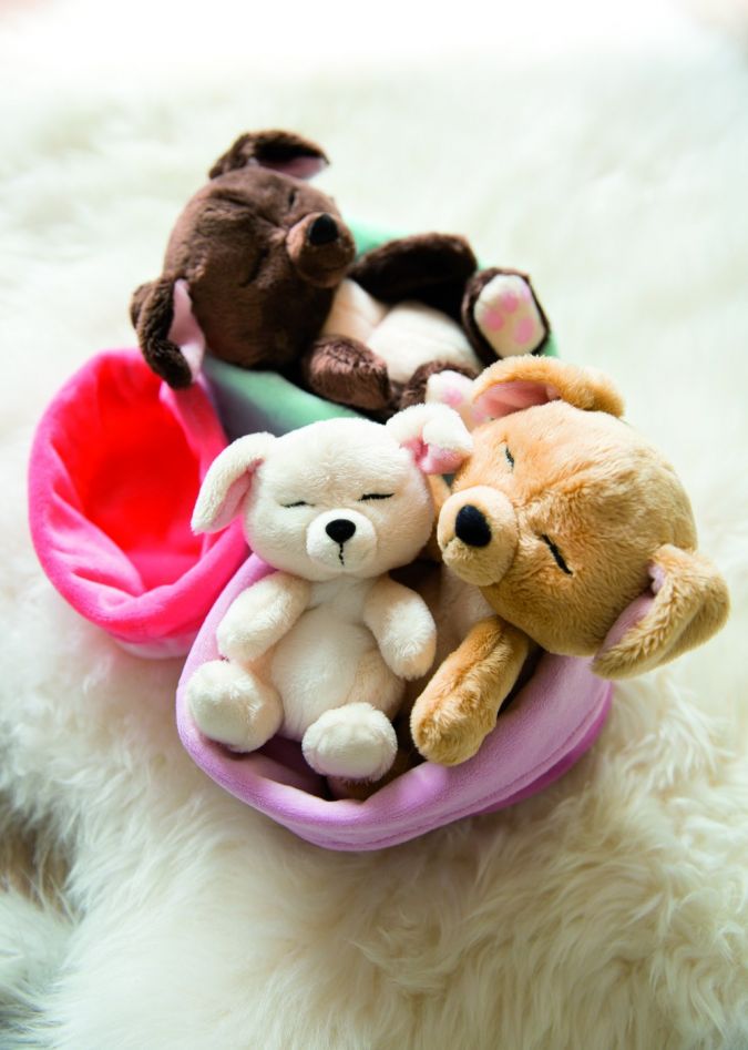 Nici-Sleeping-Puppies.jpg