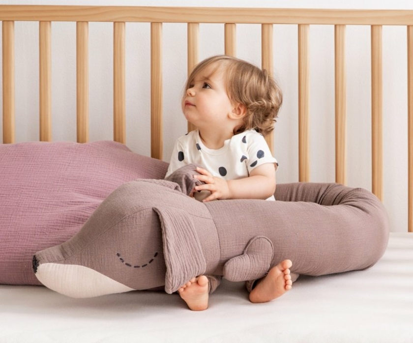 Sleep-Buddy--Copyright-Julius-Zoellner.jpg