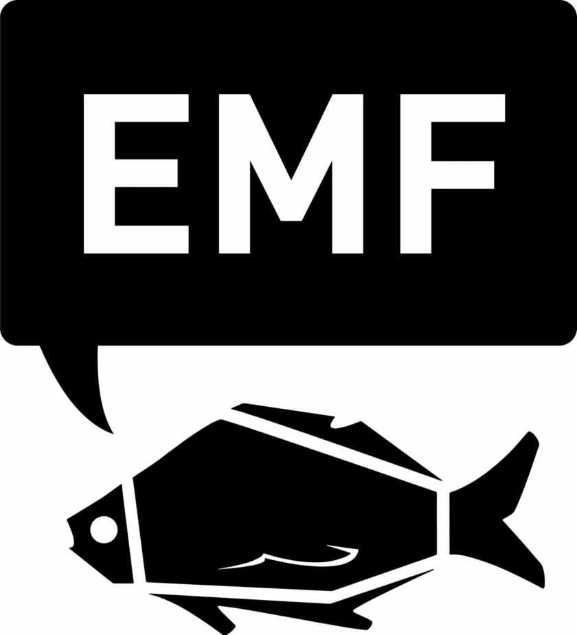 Logo-EMF-Copyright-EMF.jpeg