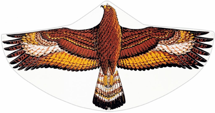 Paul-Guenther-Steinadler-Copyright-Paul-Guenther.jpg