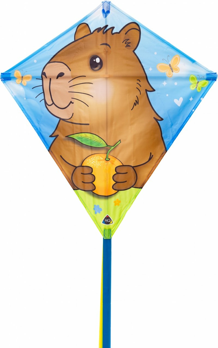 HQ-Kinderdrachen-Copyright-Invento.jpg