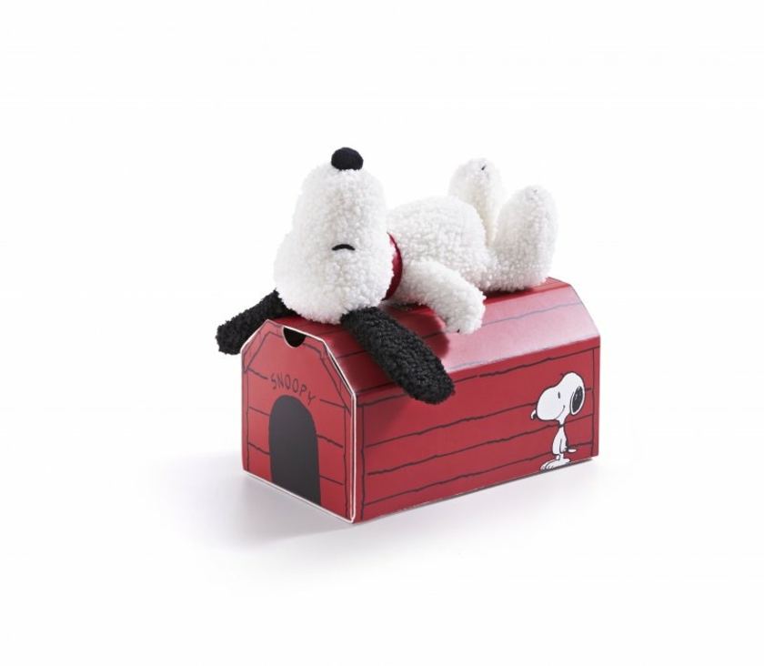 Snoopy--Tiny-Teddy-in.jpg