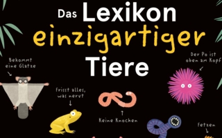 Buchcover-Das-Lexikon-der.jpg