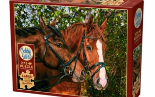 Cobble-Hill-Einfaches-Puzzle.jpg