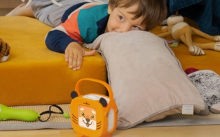 Tigerbox-Mini-Copyright-Tiger-Media.png