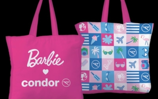 MattelCondor-Shopper.png