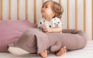 Sleep-Buddy--Copyright-Julius-Zoellner.jpg