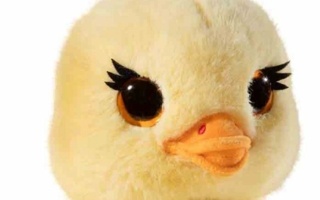 Heunec-Plueschente-QuackQuack.jpg