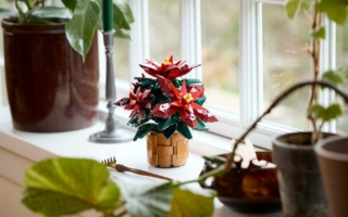 Lego-Botanicals-Weihnachtsstern-Copyright-Lego.png