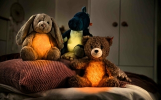 Steiff-Light-at-Night.jpg