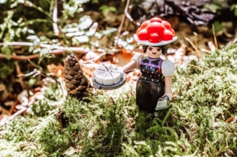 Playmobil-Schwarzwaldmarie-Sonderfigur-Copyright-Playmobil.jpg