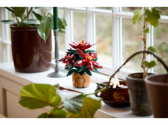 Lego-Botanicals-Weihnachtsstern-Copyright-Lego.png