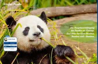 WAS-IST-WAS-Geniale-Tiere-Copyright-Tessloff-Verlag.jpg