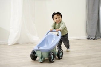 bigbuggy2.jpg