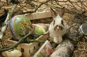 Nestler--Ostern-mit-Hase.jpg