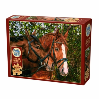 Cobble-Hill-Einfaches-Puzzle.jpg