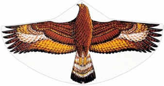 Paul-Guenther-Steinadler-Copyright-Paul-Guenther.jpg