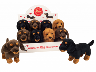 Teddy-Hermann-Dackel-Display.png