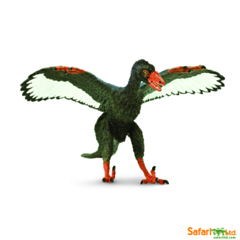 Aa-302829 Archaeopteryx