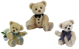 teddy