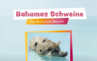 Bahamas-SchweineScarlett.jpg