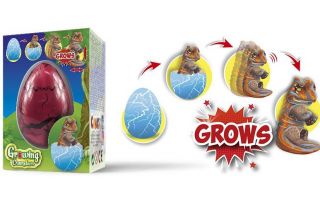 Hatching--Growing-Animals.jpg